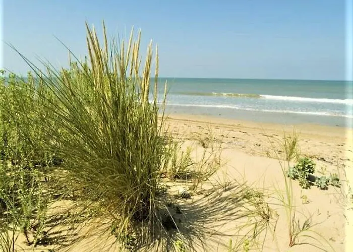 Ferienhaus 2 Bed - Sleeps 4 - On-site Activities - Near